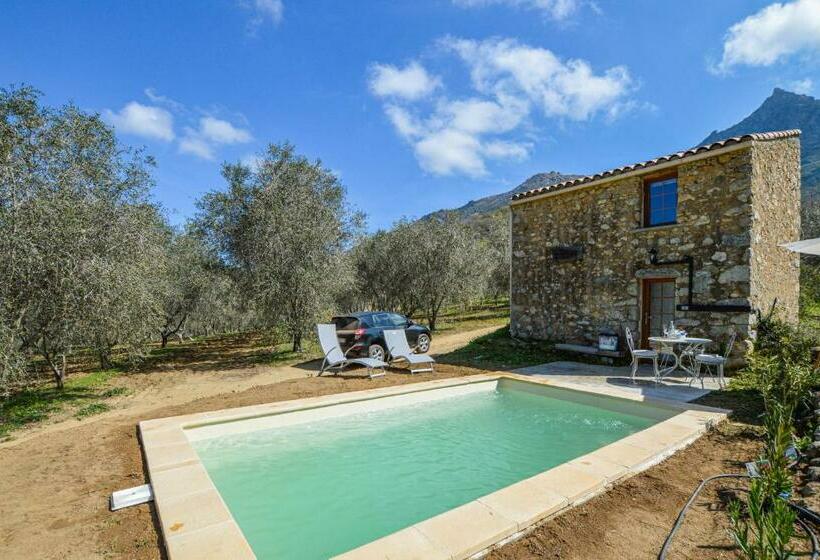 Amazing Home In Feliceto With Kitchenette