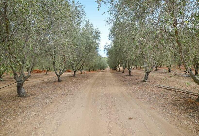 Amazing Home In Feliceto With Kitchenette