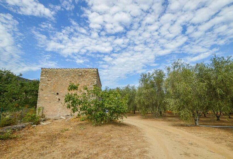 Amazing Home In Feliceto With Kitchenette