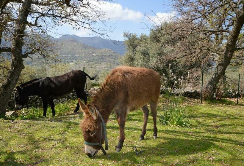 Amazing Home In Feliceto With Kitchenette