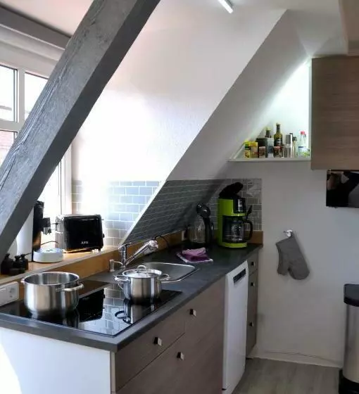 Gemütliche Dachwohnung Mit Kleiner Oder Großer Dachterrasse Nebeneinander