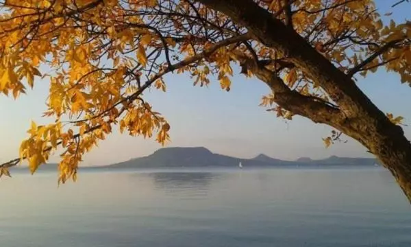 Csalogány Villa Balatonboglár