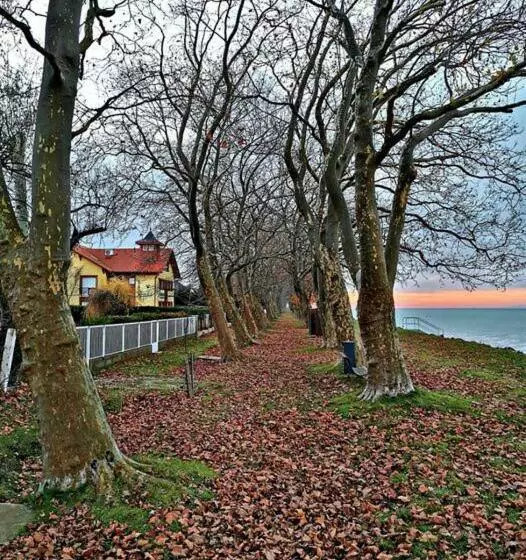 Csalogány Villa Balatonboglár