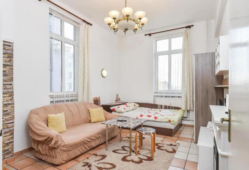 Historical Lion S Bridge 1 Bedroom Apartment