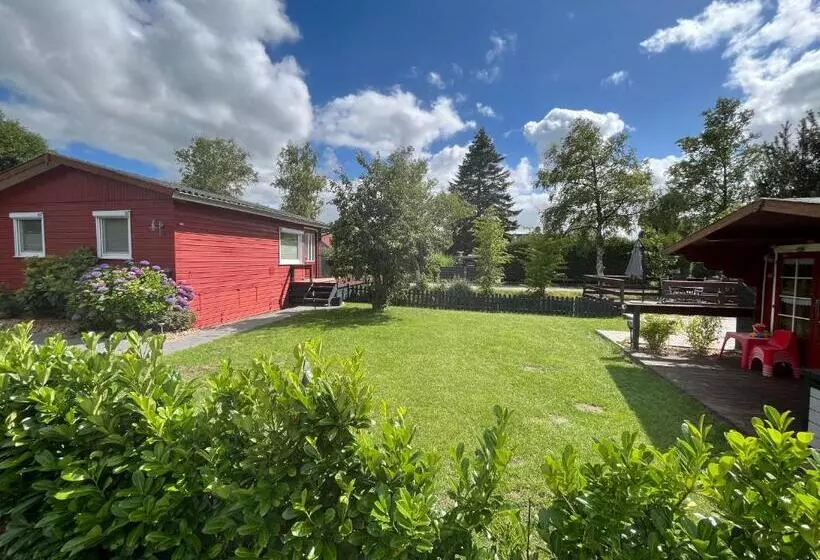 Meerbude Am Großen Meer   Ferienhaus