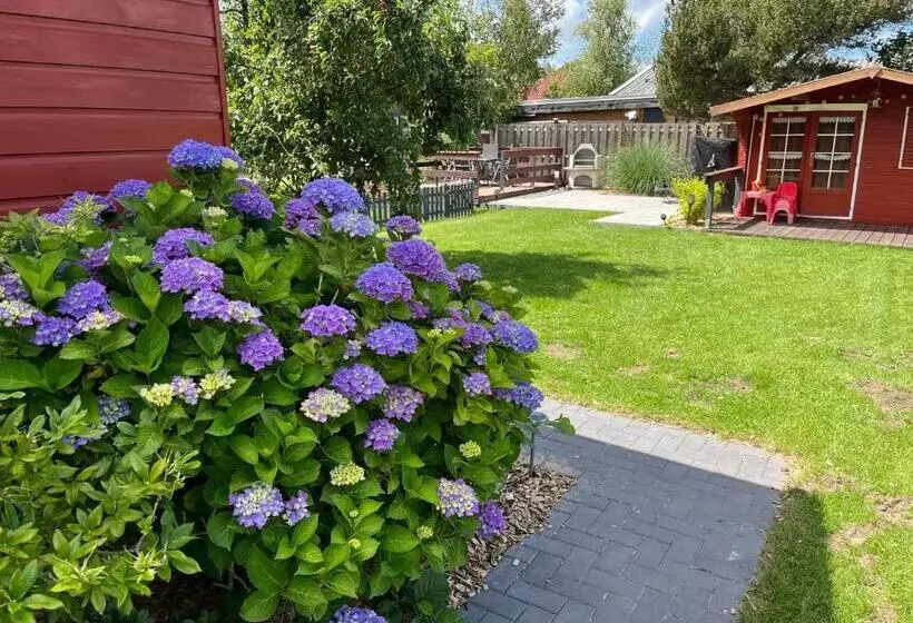 Meerbude Am Großen Meer   Ferienhaus