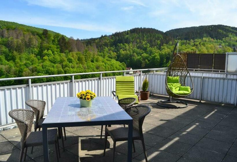 Penthouse Falkennest