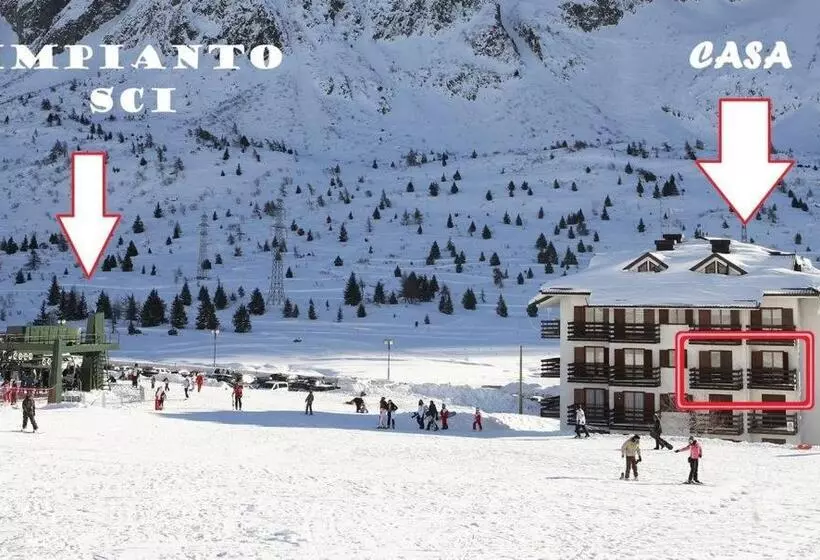 Ski&bike Apartment Passo Tonale