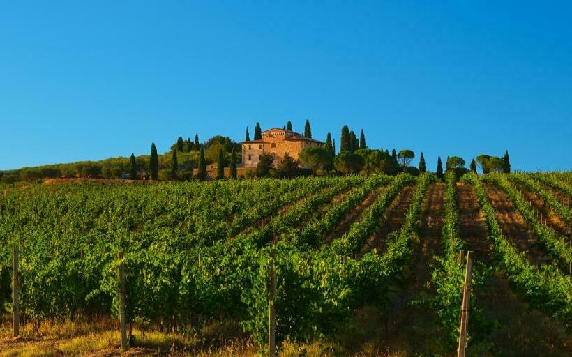 Agriturismo La Torre Dell Oliveto