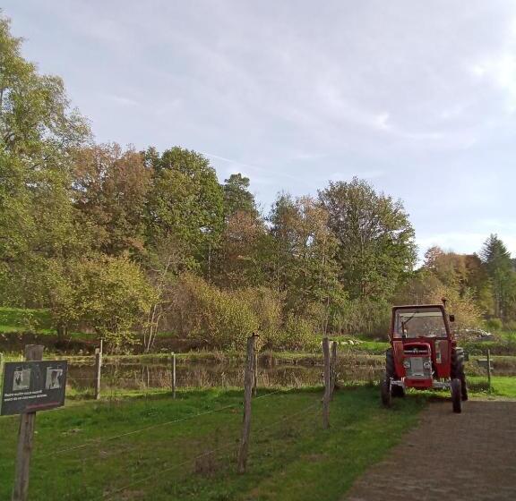 Gîte Des Hortensias