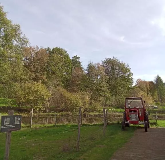 Gîte Des Hortensias