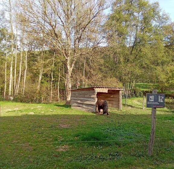 Gîte Des Hortensias