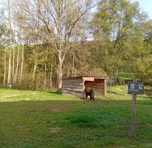 Gîte Des Hortensias