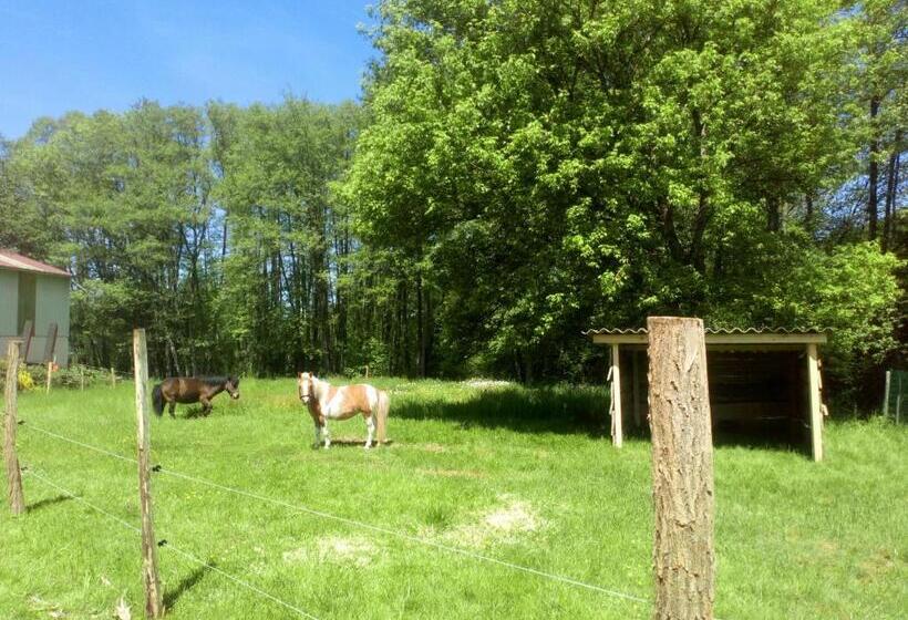 Gîte Des Hortensias