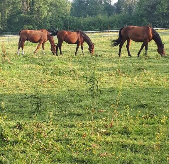 Gîte Du Haras De Valès