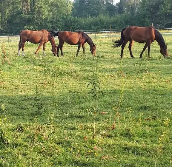 Gîte Du Haras De Valès