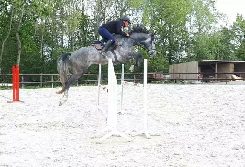 Gîte Du Haras De Valès