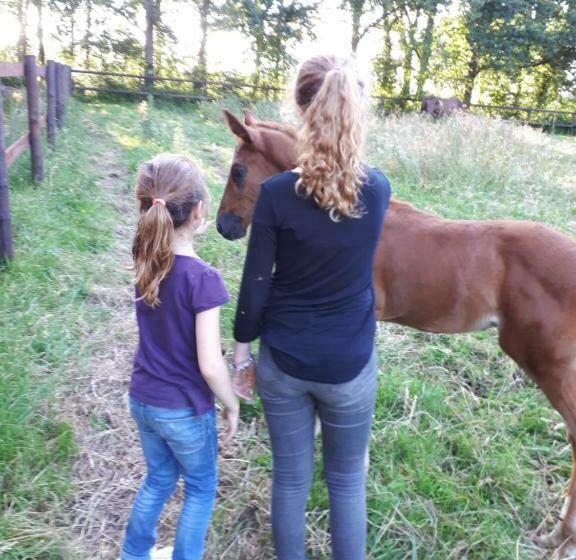 Gîte Du Haras De Valès