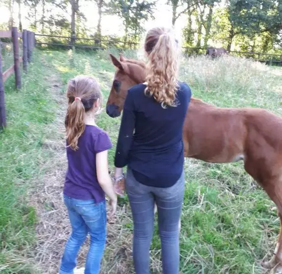 Gîte Du Haras De Valès