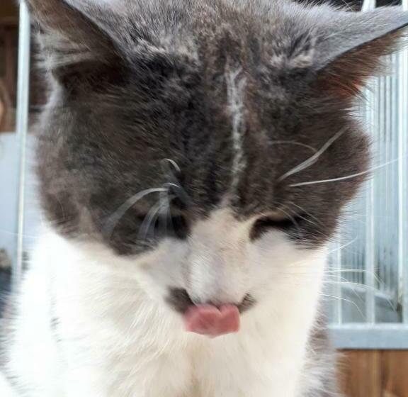 Gîte Du Haras De Valès