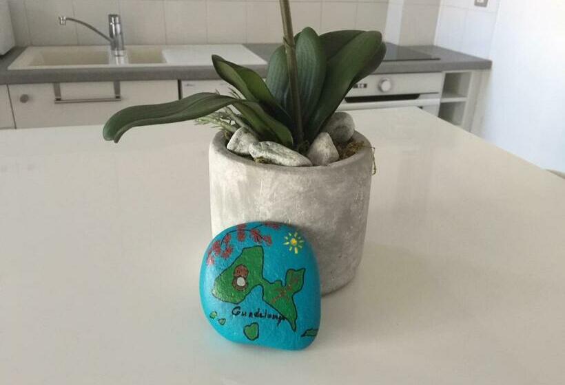 Beau Studio Proche De La Mer