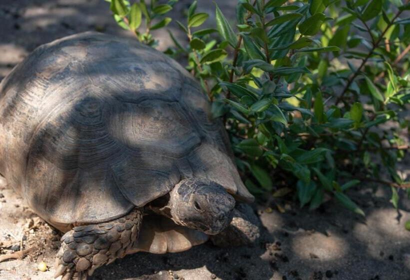 Casa Vacanze Villa Severina Iun R6166 R6692