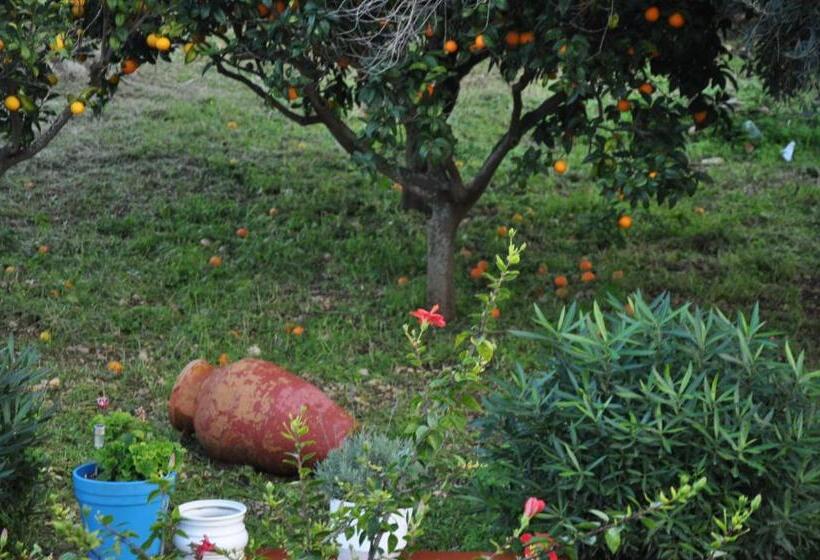 Corso S Old Nest A Mille Metri Dalla Spiaggia Guida Loca