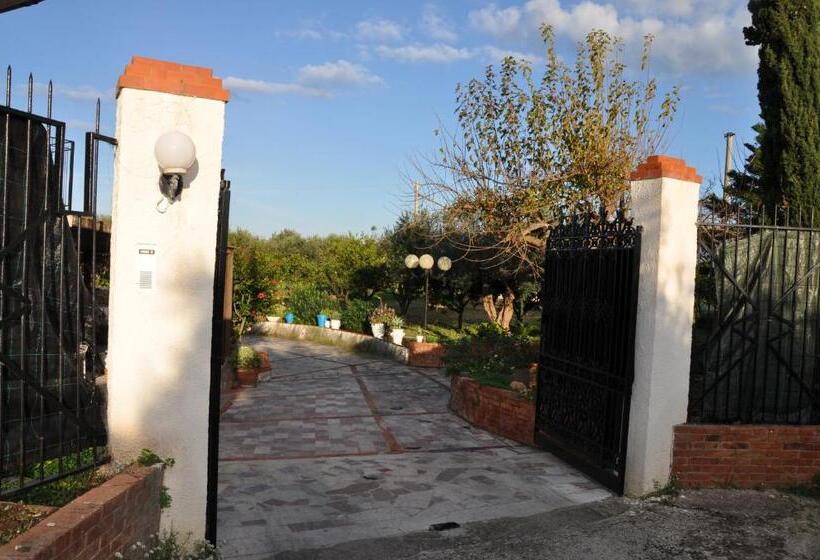 Corso S Old Nest A Mille Metri Dalla Spiaggia Guida Loca