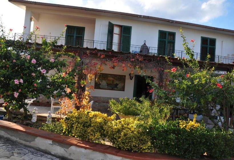 Corso S Old Nest A Mille Metri Dalla Spiaggia Guida Loca