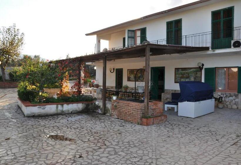 Corso S Old Nest A Mille Metri Dalla Spiaggia Guida Loca