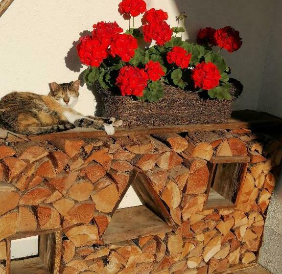 Ferienhof Kleber Bauernhof Mit Königscard