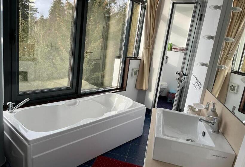 Vila Franceză Cazare Cu Jacuzzi Pe Malul Lacului Colibița