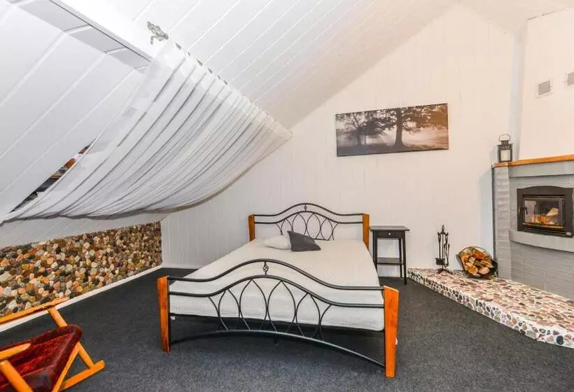 Apartamentai Birštono Centre Su židiniu