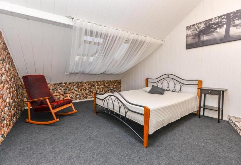 Apartamentai Birštono Centre Su židiniu