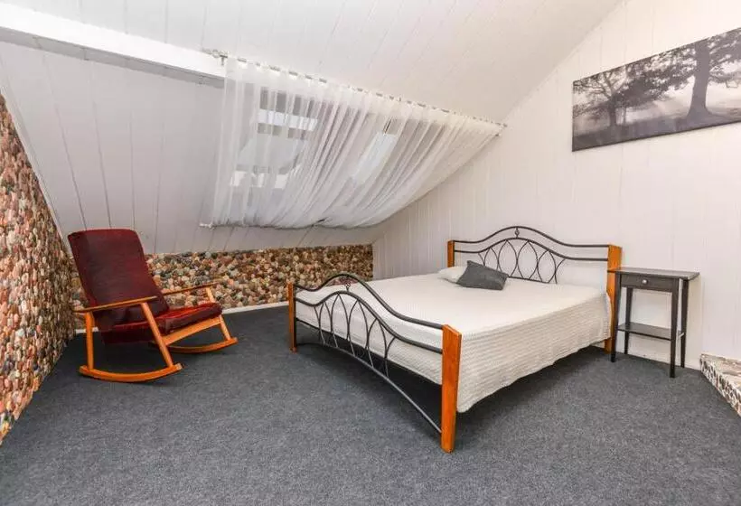 Apartamentai Birštono Centre Su židiniu