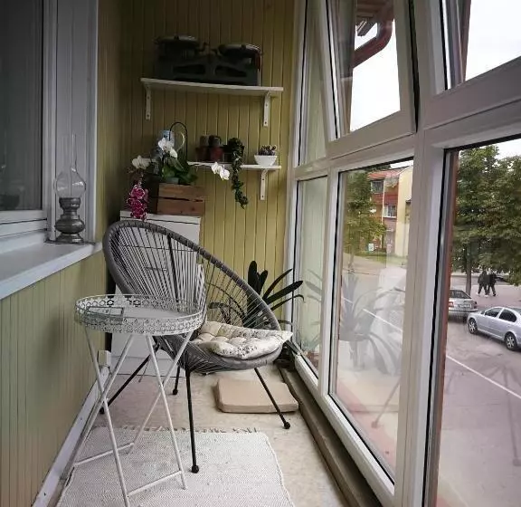 Apartamentai Birštono Centre Su židiniu