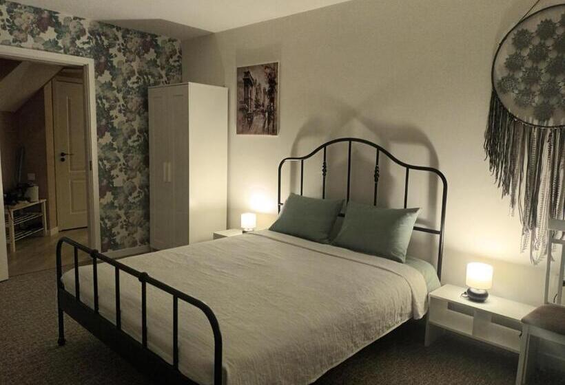 Apartamentai Birštono Centre Su židiniu