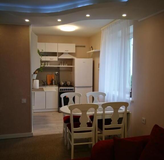 Apartamentai Birštono Centre Su židiniu