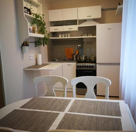 Apartamentai Birštono Centre Su židiniu