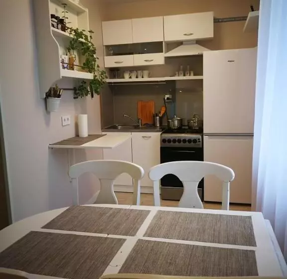 Apartamentai Birštono Centre Su židiniu