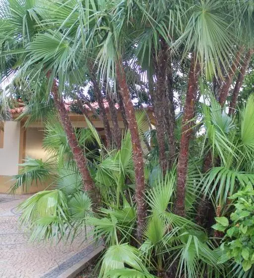 Vila Da Praia