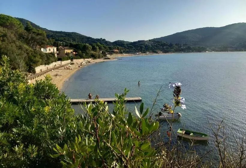 La Zanzara