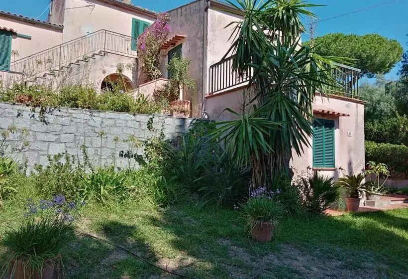 La Zanzara