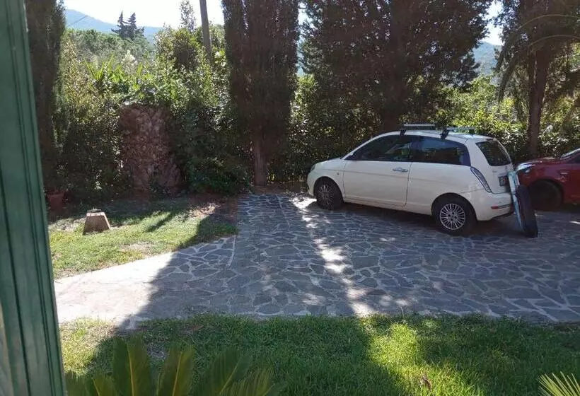 La Zanzara