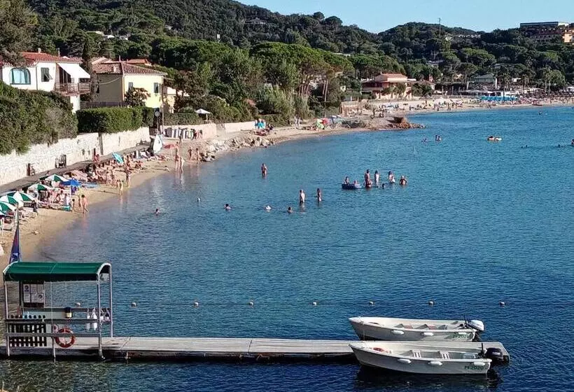 La Zanzara