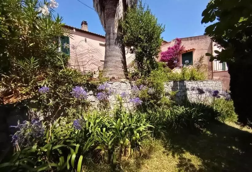 La Zanzara