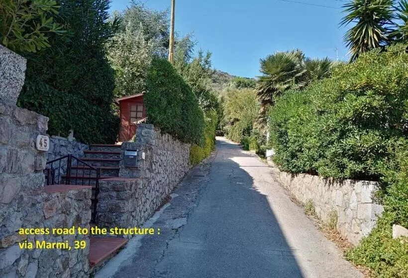 La Zanzara