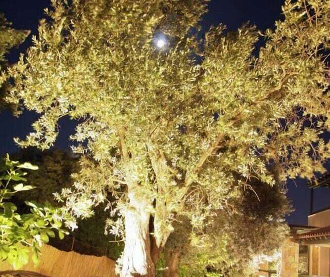 בית מלון כפרי Elia Village By Irida Iris Group