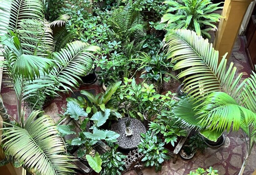 酒店 Jafferji House