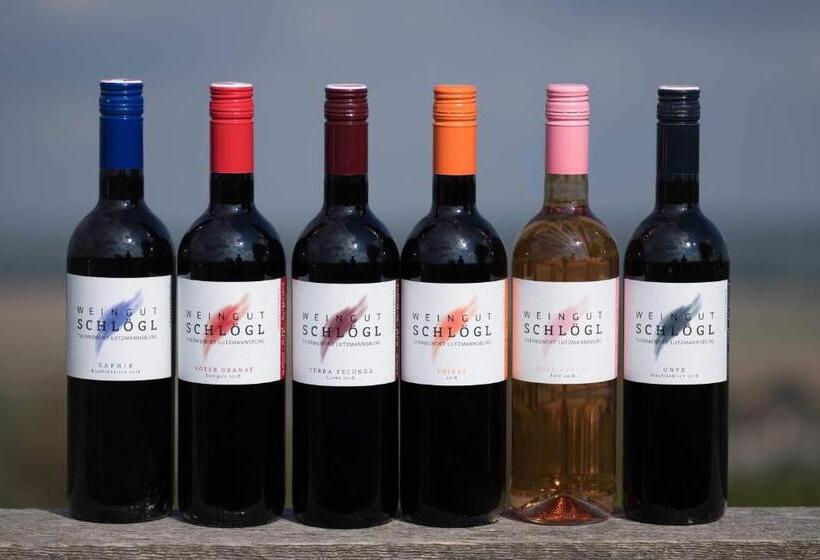 Отель Pension Schlögl